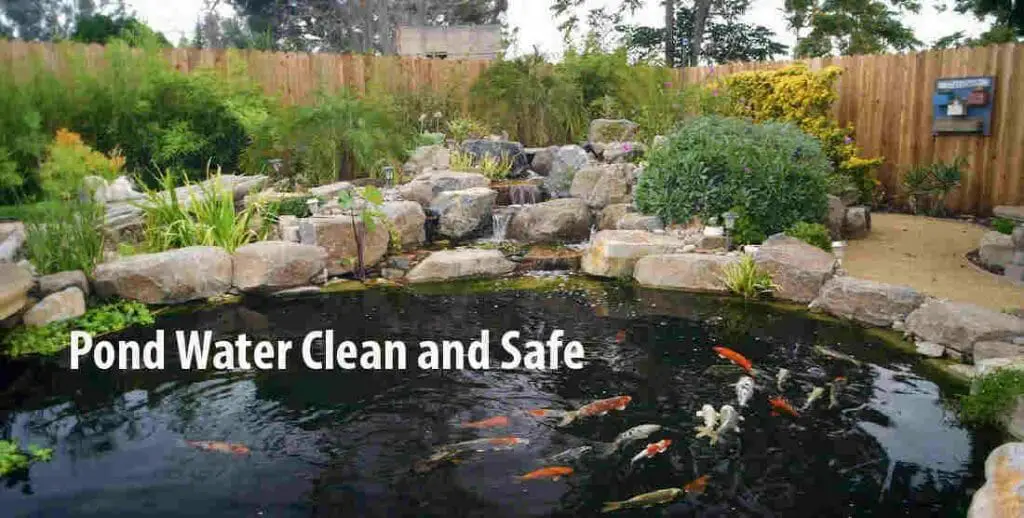 How Can We Control Water Pollution? The Need to Focus on Prevention - Keep The PonD Water Clean AnD Safe 1024x518