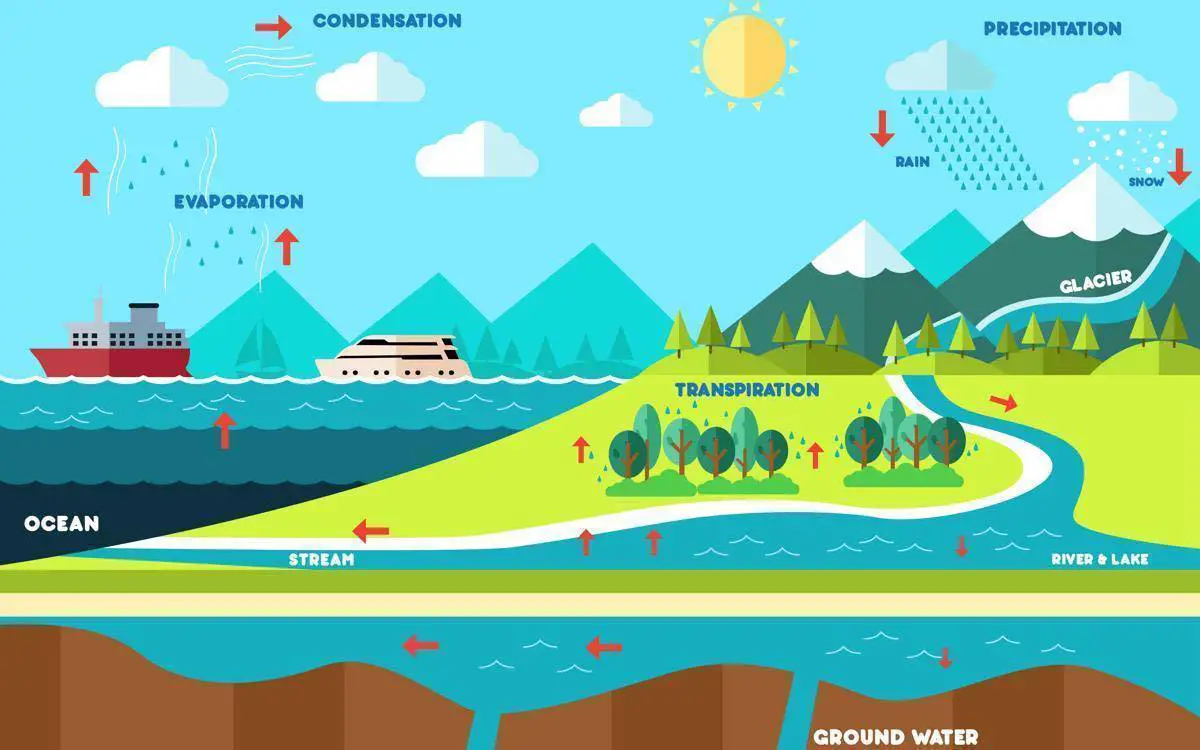 The Water Cycle Definition! Easy Science Lesson for Kids