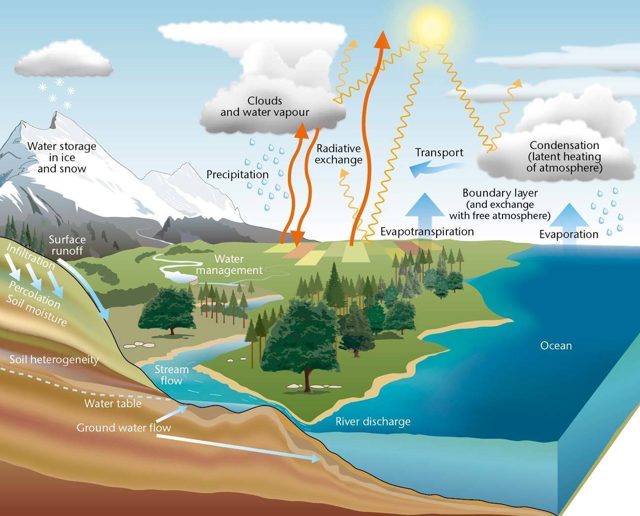 schematic representation of water cycle