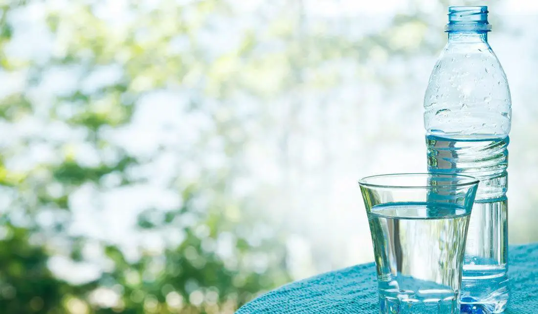 Spring Water vs. Purified Water