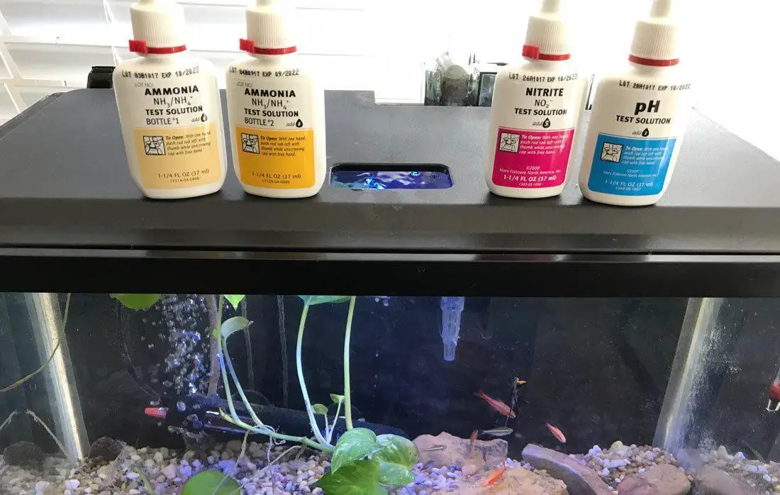 How to Soften Aquarium Water