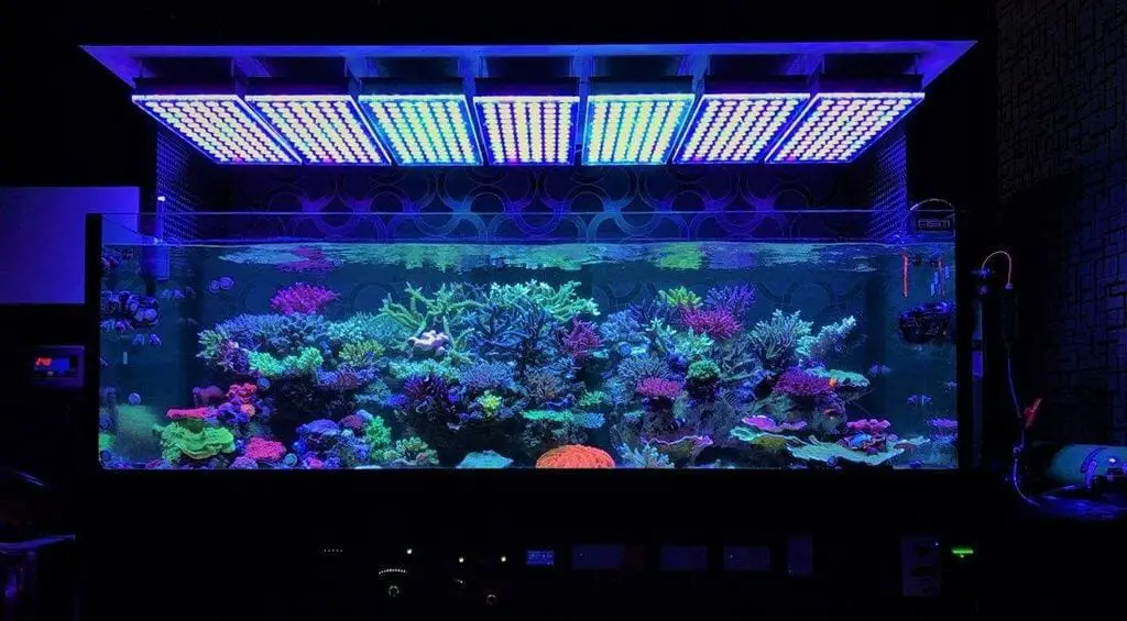 How to Soften Aquarium Water