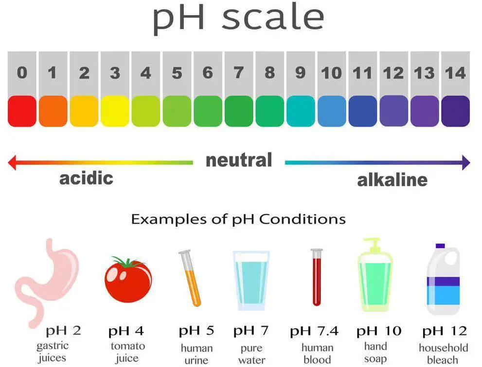 What Does Water With High Ph Do