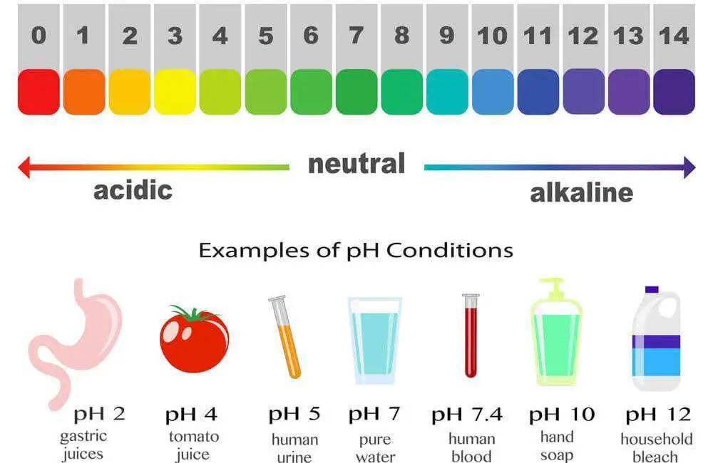 can-you-drink-distilled-water-is-it-safe